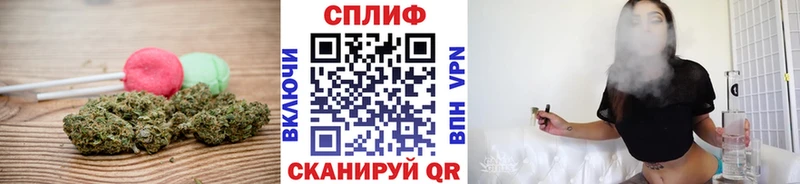 Купить  Камызяк  Canna-Cookies конопля 