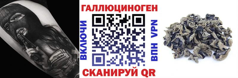 Купить  Камызяк  Галлюциногенные грибы Psilocybe 