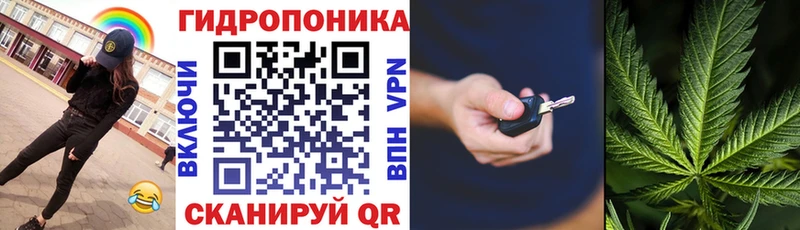Купить закладки  Камызяк  Каннабис Bruce Banner 